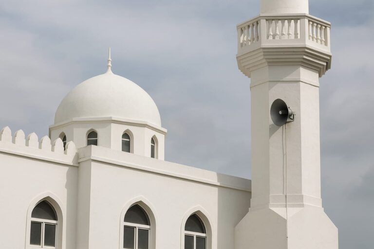 شاملی میں مسجد کے امام کے خلاف لاؤڈ اسپیکر کی آواز زیادہ ہونے پر ایف آئی آر درج