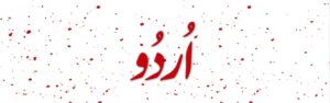 یومِ اردو پر خصوصی پیشکش: زبان کی بقا، تہذیب کی حفاظت