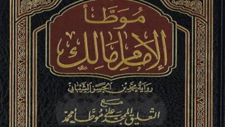 امام دارالہجرہ: زندگی کے تابندہ نقوش